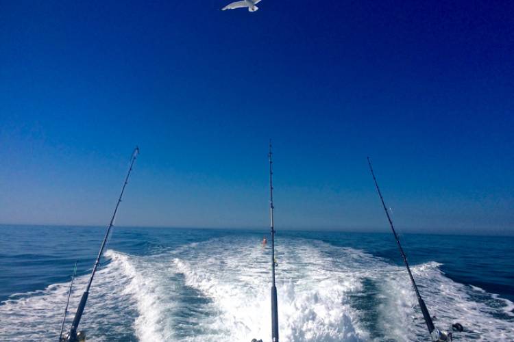 Things To Do Hook'Em Up Charters